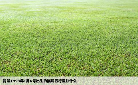 我是1993年1月6号出生的属鸡五行里缺什么