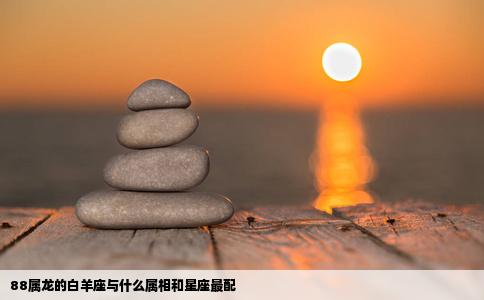 88属龙的白羊座与什么属相和星座最配