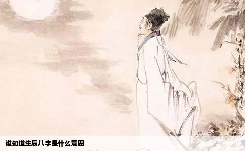 谁知道生辰八字是什么意思