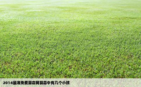 2014最准免费算命网算命中有几个小孩