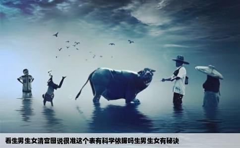 看生男生女清宫图说很准这个表有科学依据吗生男生女有秘诀