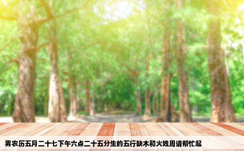 男农历五月二十七下午六点二十五分生的五行缺木和火姓周请帮忙起