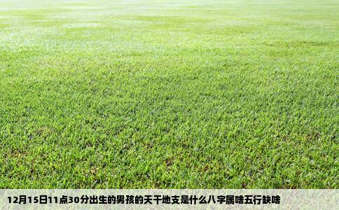12月15日11点30分出生的男孩的天干地支是什么八字属啥五行缺啥