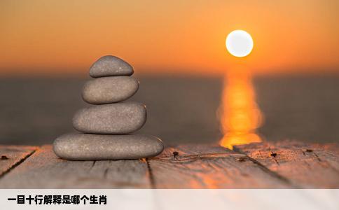 一目十行解释是哪个生肖