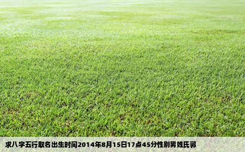 求八字五行取名出生时间2014年8月15日17点45分性别男姓氏郭