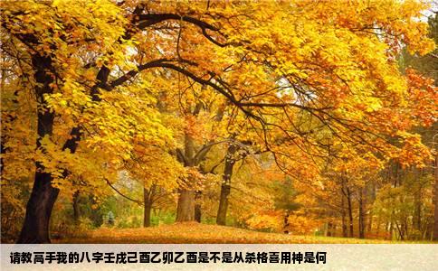 请教高手我的八字壬戌己酉乙卯乙酉是不是从杀格喜用神是何