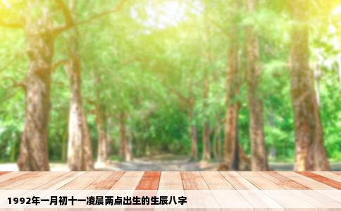 1992年一月初十一凌晨两点出生的生辰八字