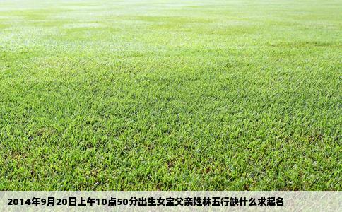 2014年9月20日上午10点50分出生女宝父亲姓林五行缺什么求起名