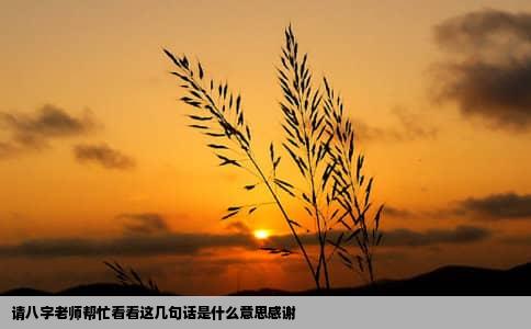 请八字老师帮忙看看这几句话是什么意思感谢