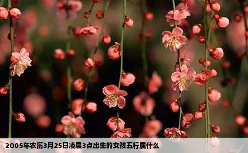 2O05年农历3月25日凌晨3点出生的女孩五行属什么