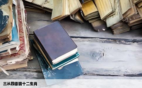 三从四德猜十二生肖