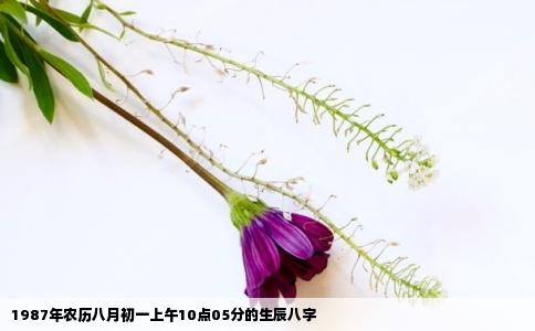 1987年农历八月初一上午10点05分的生辰八字