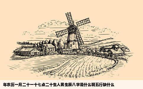 年农历一月二十一十七点二十生人男生辰八字是什么啊五行缺什么