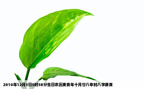 2010年12月3日5时58分生日农历庚寅年十月廿八申时八字庚寅