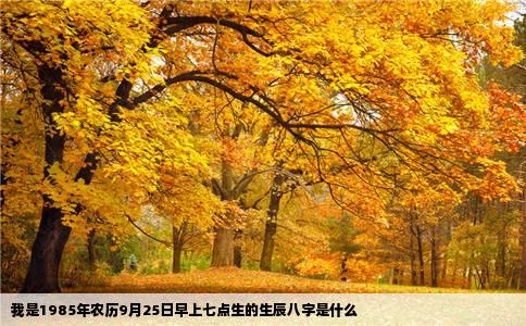我是1985年农历9月25日早上七点生的生辰八字是什么