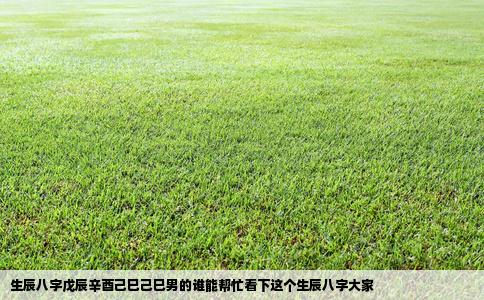 生辰八字戊辰辛酉己巳己巳男的谁能帮忙看下这个生辰八字大家