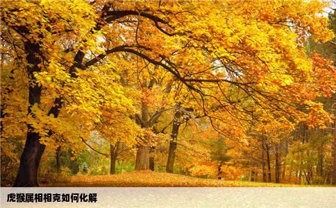 虎猴属相相克如何化解