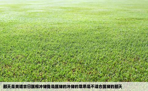 那天是黄道吉日属相冲猪我是属猪的冲猪的意思是不适合属猪的那天
