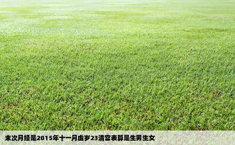 末次月经是2015年十一月虚岁23清宫表算是生男生女