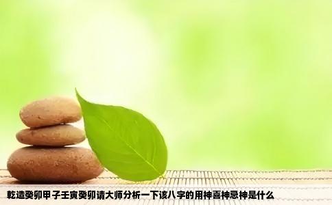 乾造癸卯甲子壬寅癸卯请大师分析一下该八字的用神喜神忌神是什么