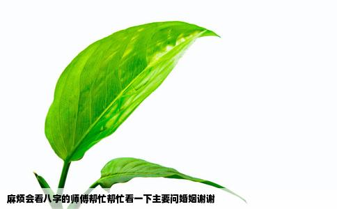 麻烦会看八字的师傅帮忙帮忙看一下主要问婚姻谢谢