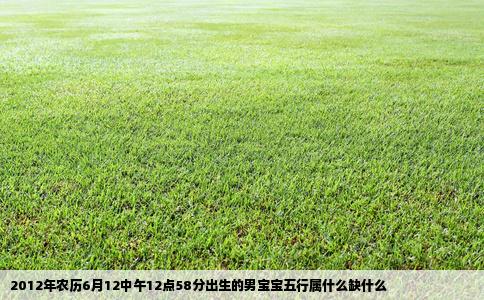 2012年农历6月12中午12点58分出生的男宝宝五行属什么缺什么