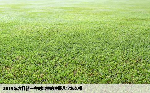 2019年六月初一午时出生的生辰八字怎么样