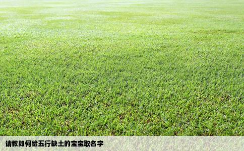 请教如何给五行缺土的宝宝取名字