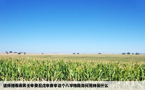 请师傅看看男壬申癸丑戊申庚申这个八字格局如何用神是什么