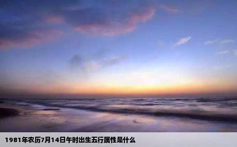 1981年农历7月14日午时出生五行属性是什么