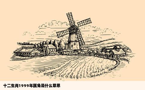 十二生肖1999年属兔是什么意思