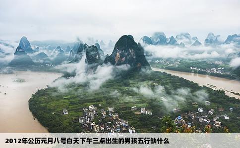 2012年公历元月八号白天下午三点出生的男孩五行缺什么