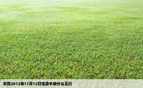 女孩2012年11月12日生命中缺什么五行