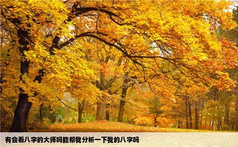 有会看八字的大师吗能帮我分析一下我的八字吗