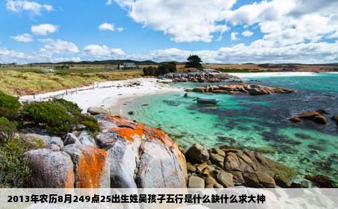 2013年农历8月249点25出生姓吴孩子五行是什么缺什么求大神