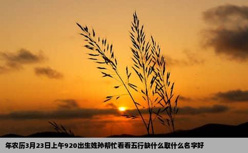 年农历3月23日上午920出生姓孙帮忙看看五行缺什么取什么名字好