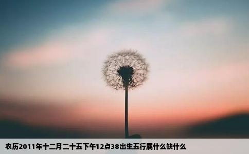 农历2011年十二月二十五下午12点38出生五行属什么缺什么
