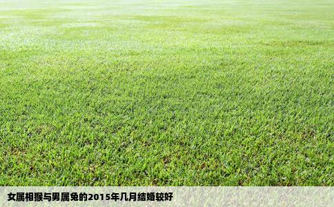 女属相猴与男属兔的2015年几月结婚较好