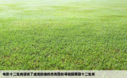 电影十二生肖讲述了成龙扮演的杰克四处寻找圆明园十二生肖
