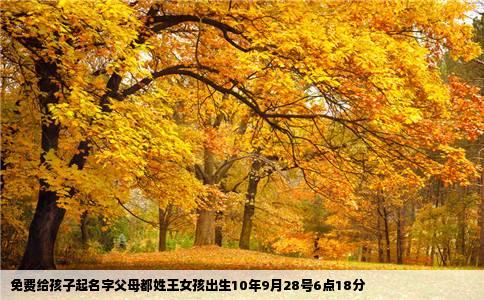 免费给孩子起名字父母都姓王女孩出生10年9月28号6点18分
