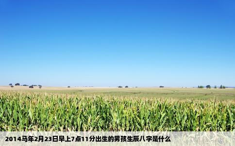 2014马年2月23日早上7点11分出生的男孩生辰八字是什么