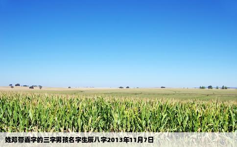 姓邓带嘉字的三字男孩名字生辰八字2013年11月7日