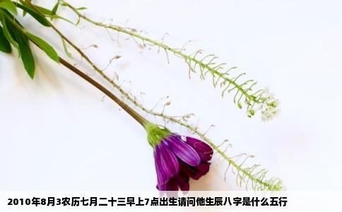 2010年8月3农历七月二十三早上7点出生请问他生辰八字是什么五行