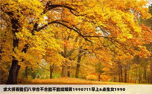 求大师看我们八字合不合能不能结婚男1990711早上6点生女1990