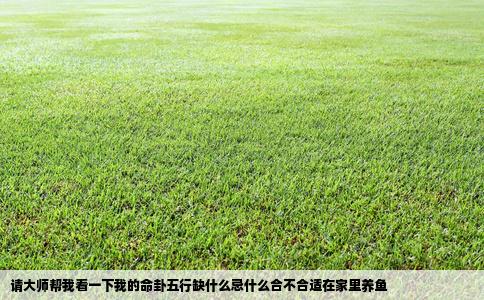 请大师帮我看一下我的命卦五行缺什么忌什么合不合适在家里养鱼