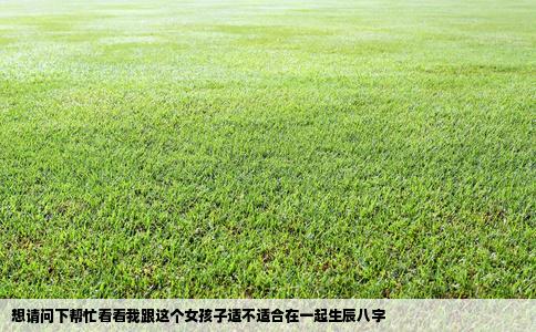 想请问下帮忙看看我跟这个女孩子适不适合在一起生辰八字