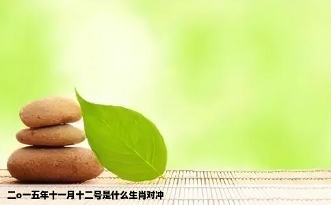 二o一五年十一月十二号是什么生肖对冲