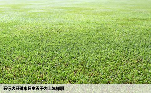 五行火旺确水日主天干为土怎样啊