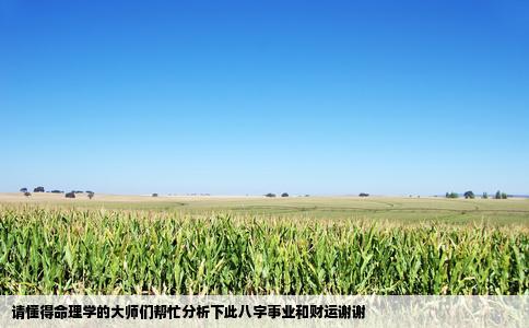 请懂得命理学的大师们帮忙分析下此八字事业和财运谢谢