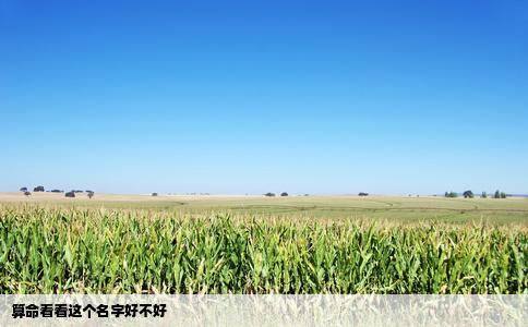 算命看看这个名字好不好
